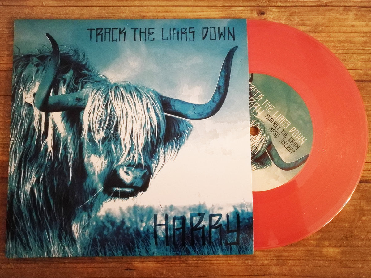 Track the Liars Down - Harry 7" (orange vinyl)