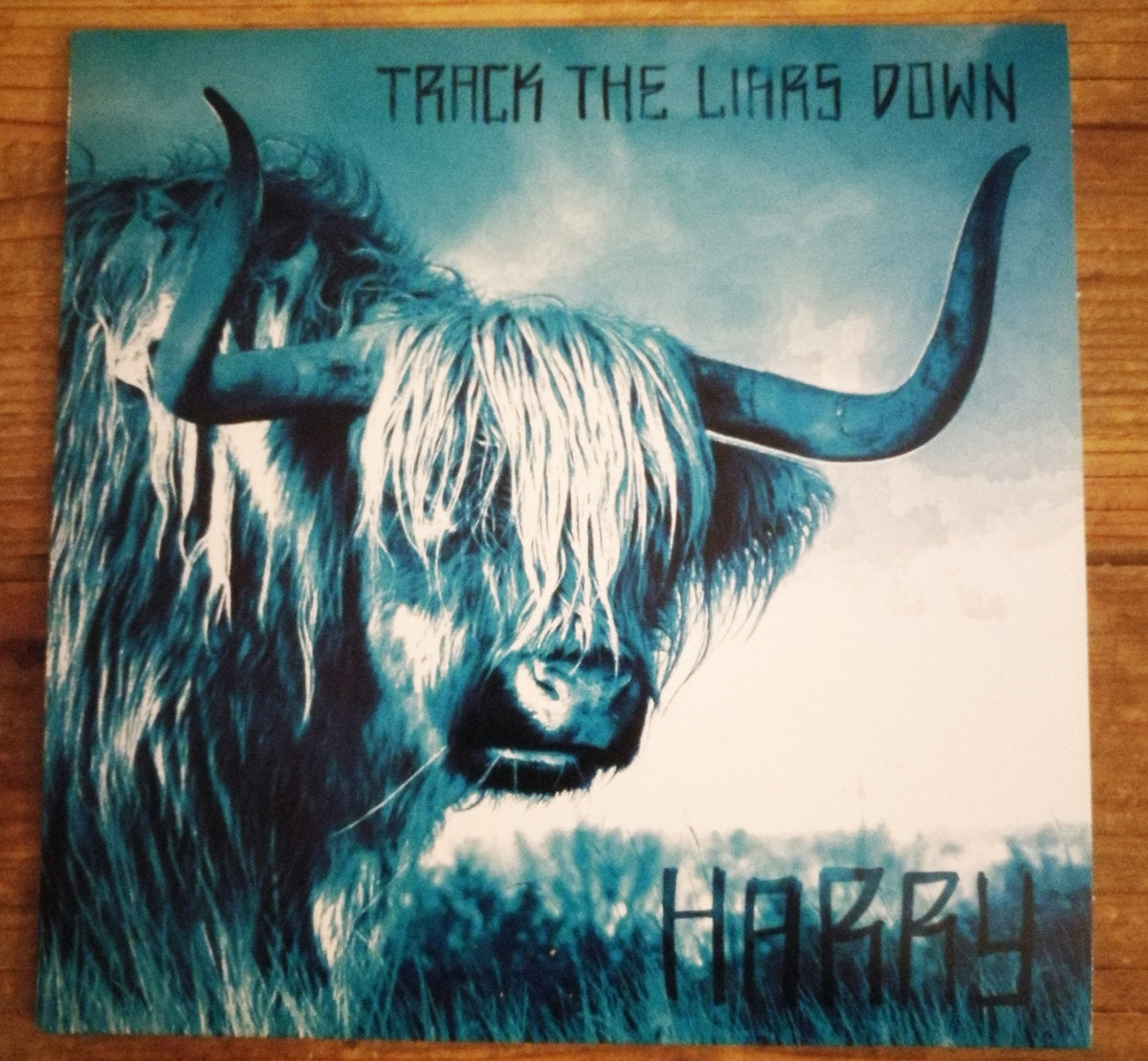 Track the Liars Down - Harry 7" (orange vinyl)