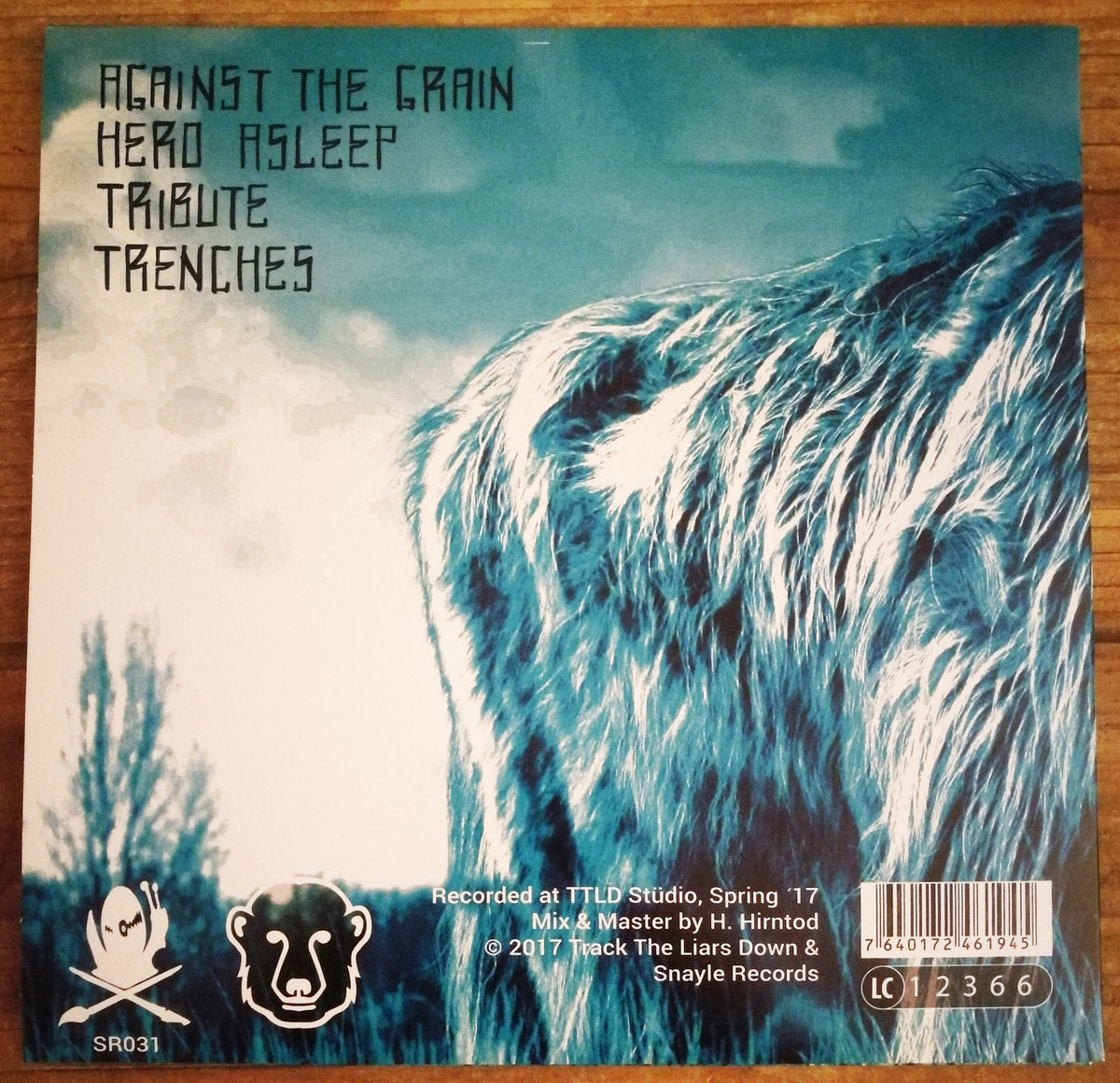 Track the Liars Down - Harry 7" (orange vinyl)