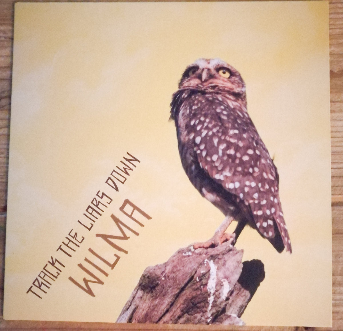 Track the Liars Down - Wilma 7" (purple vinyl)