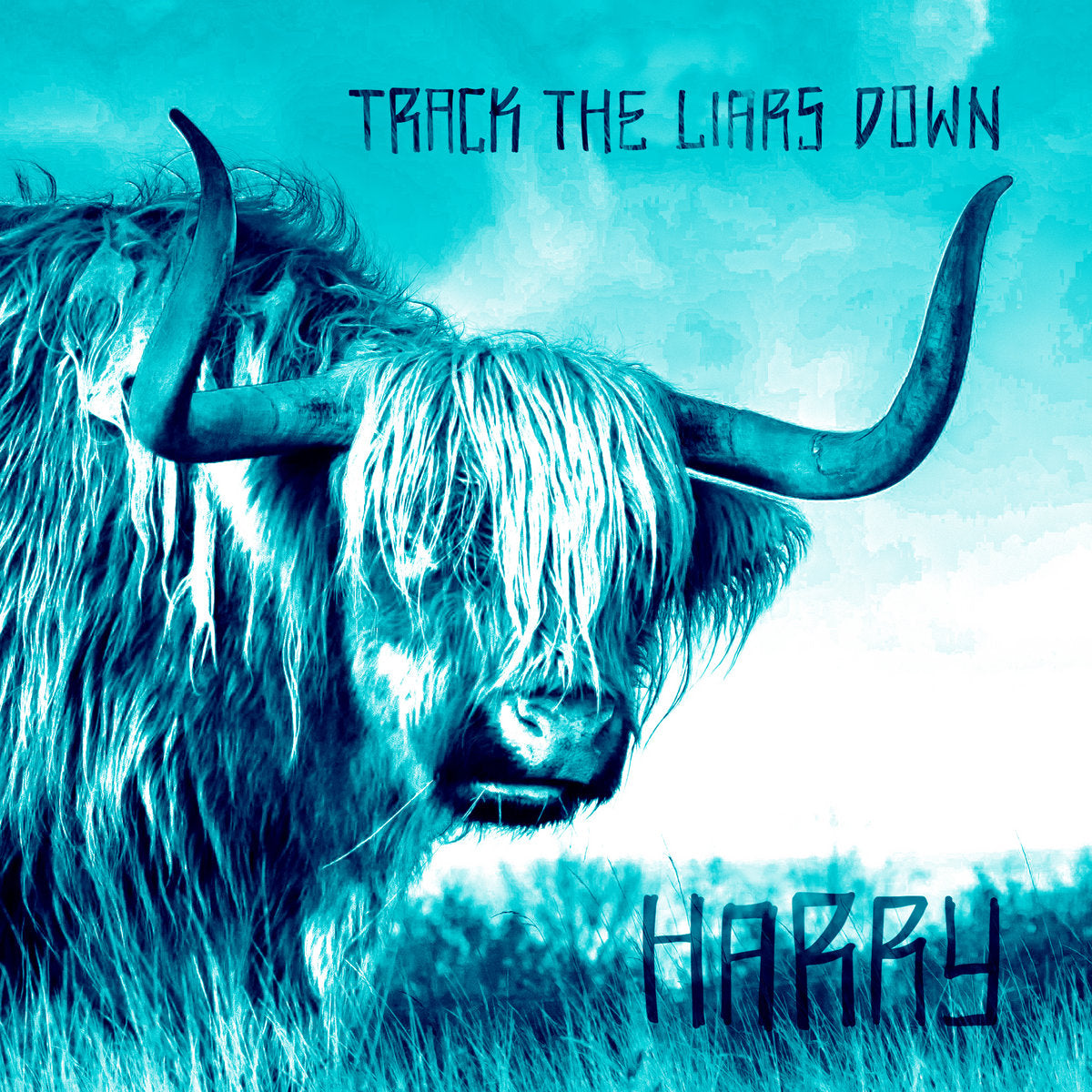 Track the Liars Down - Harry 7" (orange vinyl)