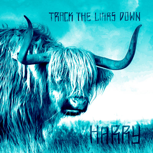 Track the Liars Down - Harry 7" (orange vinyl)